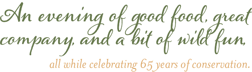 Asset 2Savor_bits.jpg