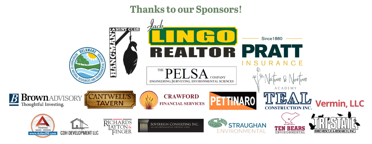 Partners_Updated 3_12_26.png